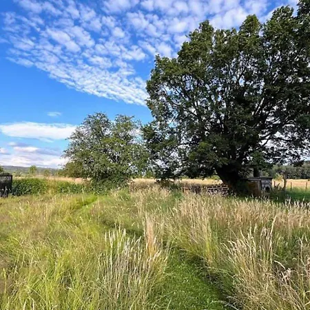 Chez Bene Oda ve Kahvaltı *