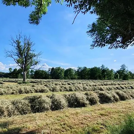 Nocleg ze śniadaniem Chez Bene *